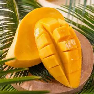 고당도 망고 태국 남독마이 골드망고 2kg 4kg