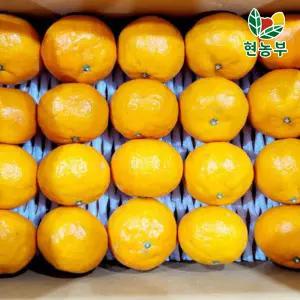 제주 선물용 카라향 5kg 20-30과 (실중량 4.5kg)