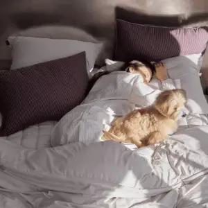 필굿 알러지케어 컴포트웰 플러스 침구세트 웜그레이 SS QK SK)