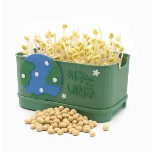 글로벌이지 콩나물 키우기 키트 사각시루