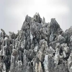 수족관 어항돌 돌장식 수조 어항 수석 꾸미기 청룡석