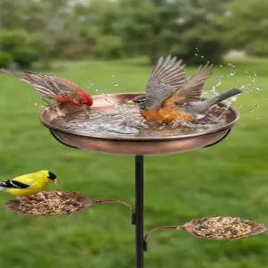 핫버드 36 메탈 배스 앤 피더 - 녹슬지 않는 앤티크 디자인 초안정적인 5가지 받침대 및 탈착식 이지 클린