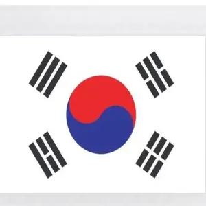 대형깃발 게양용태극기 국기 대형국기깃발 120x180사이즈국기 국기 게양용 월드컵 태극기 응원용품