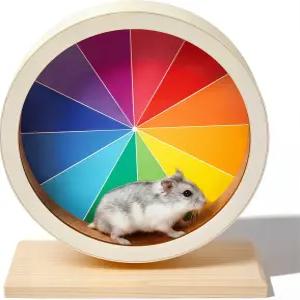 겔린 7인치 햄스터 나무 무음 휠 레인보우 프린팅 작은 동물 운동 조용한 스피너 러닝 저빌 생쥐 및 기타