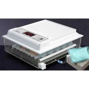 병아리 부화기 닭 알 계란 메추리 비둘기 100알 150알