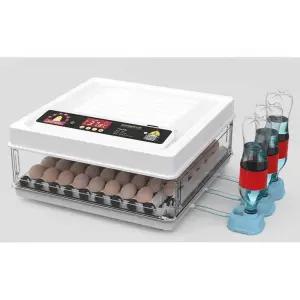 조류 부화기 꿩 닭 메추리 거위 병아리 알 키우기