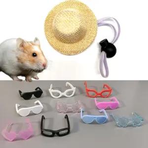 귀여운 햄스터 모자와 선글라스 10개 세트 위한 작은 재미있는 안경 뱀 도마뱀 기니 돼지 수염 용 애완동물