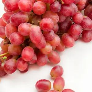 달콤 씨없는 적포도 크림슨포도 2kg
