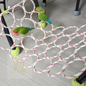 앵무새 28 6CM 카나리아 버드링 잉꼬 앵무새놀이 WBD68A7