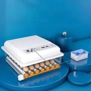 병아리 부화기 스마트 계란 달걀 키우기 인큐베이터