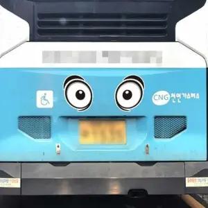 [하프클럽/]차량안전스티커 왕눈이스티커 화물차스티커