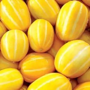 [프레시마켓] 성주 참외 고당도 꿀 참외 산지 프리미엄 명품 5kg