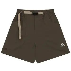 나이키 ACG 돌로미티 쇼츠 (IF0894-004)