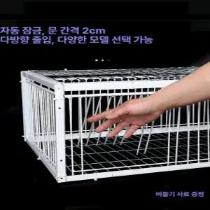 비둘기 새 자동문 비둘기포획틀 새덫 함정 퇴치망
