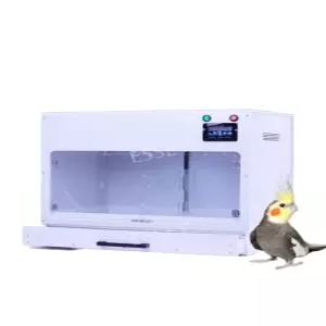 앵무새 케이지 병아리 일반 육추기 온도조절 메쉬 키우기 부스