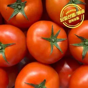 완숙토마토 5kg 대과 중과 소과 쥬스용 당일 선별 신선 특품