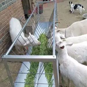 농장 먹이통 염소 사료 급여기 스테인리스 목축 여물 통 대용량 스틸 축산