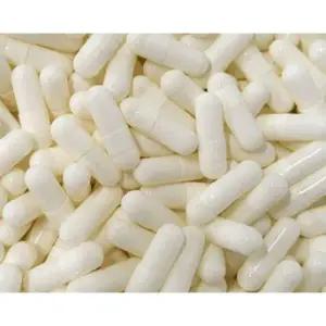 약캡슐 약950개 공캡슐 택1 알약 가루약 빈캡슐 반려동물