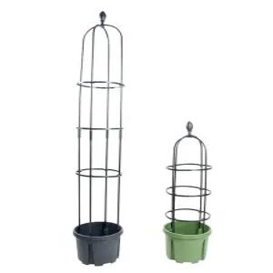 넝쿨 식물 아치 장미 화단 화초 야외 전원주택 정원꾸미기 테라스