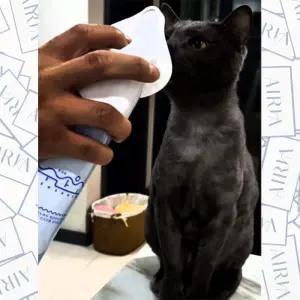 휴대 펫 통 캔 응급 용 순수산소 더 농도99% 구급 655ml  [mWC39241]