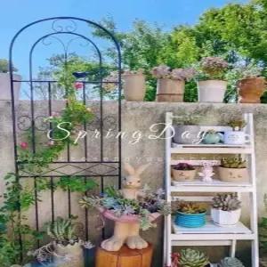 장미 넝쿨지지대 정원 아치 식물 철제 가든 울타리 대문