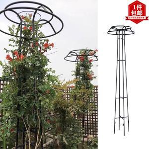 전원주택 넝쿨 꾸미기 화단 정원꾸미기 나무담장 오벨리스크 식물 정원 테라스 장미 지지대