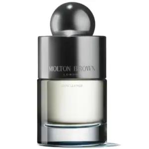 몰튼브라운 다크 레더 오 드 뚜왈렛 향수 선물 100ml BNS