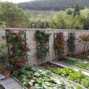 장미 넝쿨 지지대 정원 포도나무 아치 펜스형 프레임 꾸미기 덩굴 식물