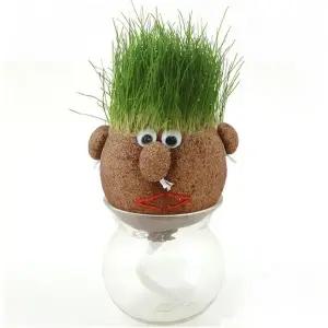 ( )잔디인형세트 잔디머리 얼굴인형 토피어리 잔디인형 키우기