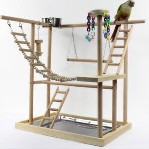 앵무새 놀이터 코뉴어 사랑앵무 카이큐