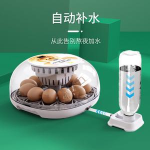 병아리 부화기 키우기달걀 자동 조류 앵무새 유정란 12란 부하기 메추리 닭 오리 계란