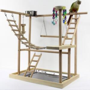 앵무새 놀이터 코뉴어 사랑앵무 카이큐