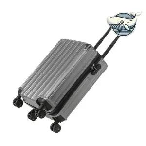 스타일리시 기내용 소형 하드 캐리어 여행용 화이트캐리어 미니캐리어 여행용캐리어