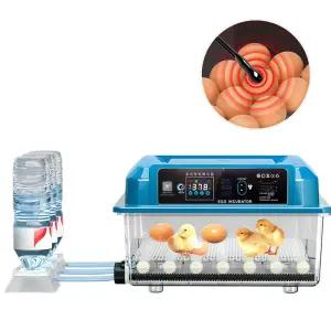 스마트 계란부화기 조류 메추리알 부화기 병아리 유정란