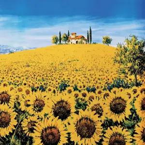 1000조각 직소퍼즐 해바라기가 만발한 언덕액자 어른 맞추기 취미 수집 인테리어 1000피스 1000