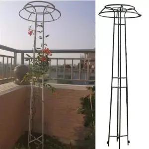 대형 식물 오벨리스크 장미아치