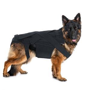 강아지 허리 조끼 검정색 애견지원조끼 S 5kg이하 보호대 BTR