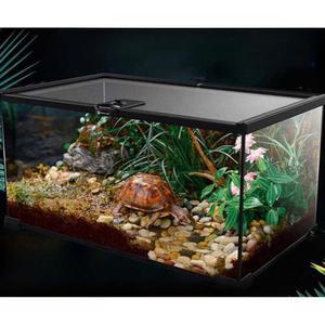 도마뱀 아크릴 사육장 육지거북이 크리스티드게코 하우스