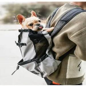중형견 백팩 반려견 배낭 이동장 가방 펫백 산책