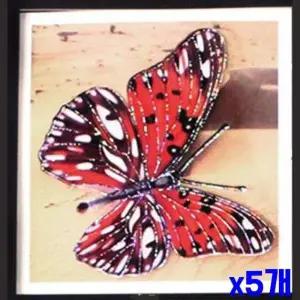 [에이치플러스몰]WL 인테리어 액자형 나비 스티커 X5개 포인트스티커