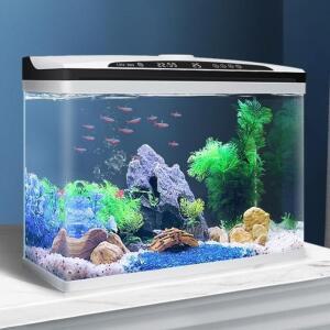 스마트 수족관 어항 투명 일체형 대형 관상어