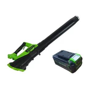 [송풍전용 450] 그린웍스 40V 충전식 액시얼 브로워_B1 5.0Ah 세트 1팩