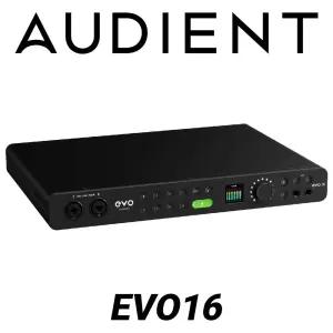 Audient 오디언트 EVO16 오디오인터페이스 이보16 오인페