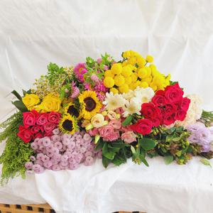 생화 세트 장미 안개 튤립 리시안셔스 마트리카리아 랜덤5단 데일리꽃