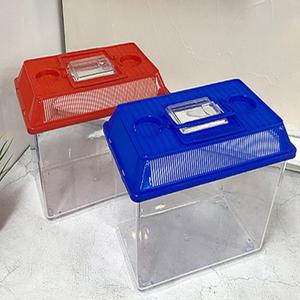 특대형 큰 곤충 채집통 달팽이 키우기 사육통 도마뱀