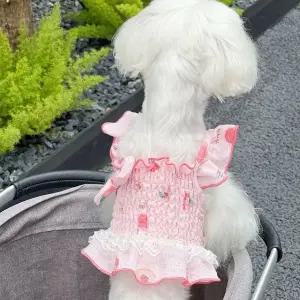 고품질 BNP_1008 러블리 플라워 리본 강아지 반려동물옷 강아지반팔옷 (WFHT8PU)