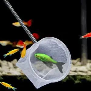 수족관 물고기 뜰채 낚시 그물 금붕어 (WFHK93M)