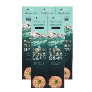히말라야 핑크솔트 담은 치약 아이스 카밍 민트 160g, 5개