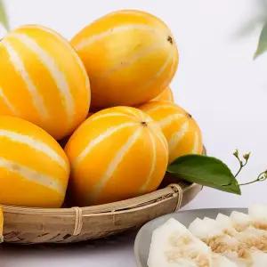 가정용 성주 꿀참외 못난이 혼합 랜덤과 3KG