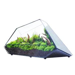 테라리움 케이스 장식용 디오라마 수반 사육장 이끼 다육